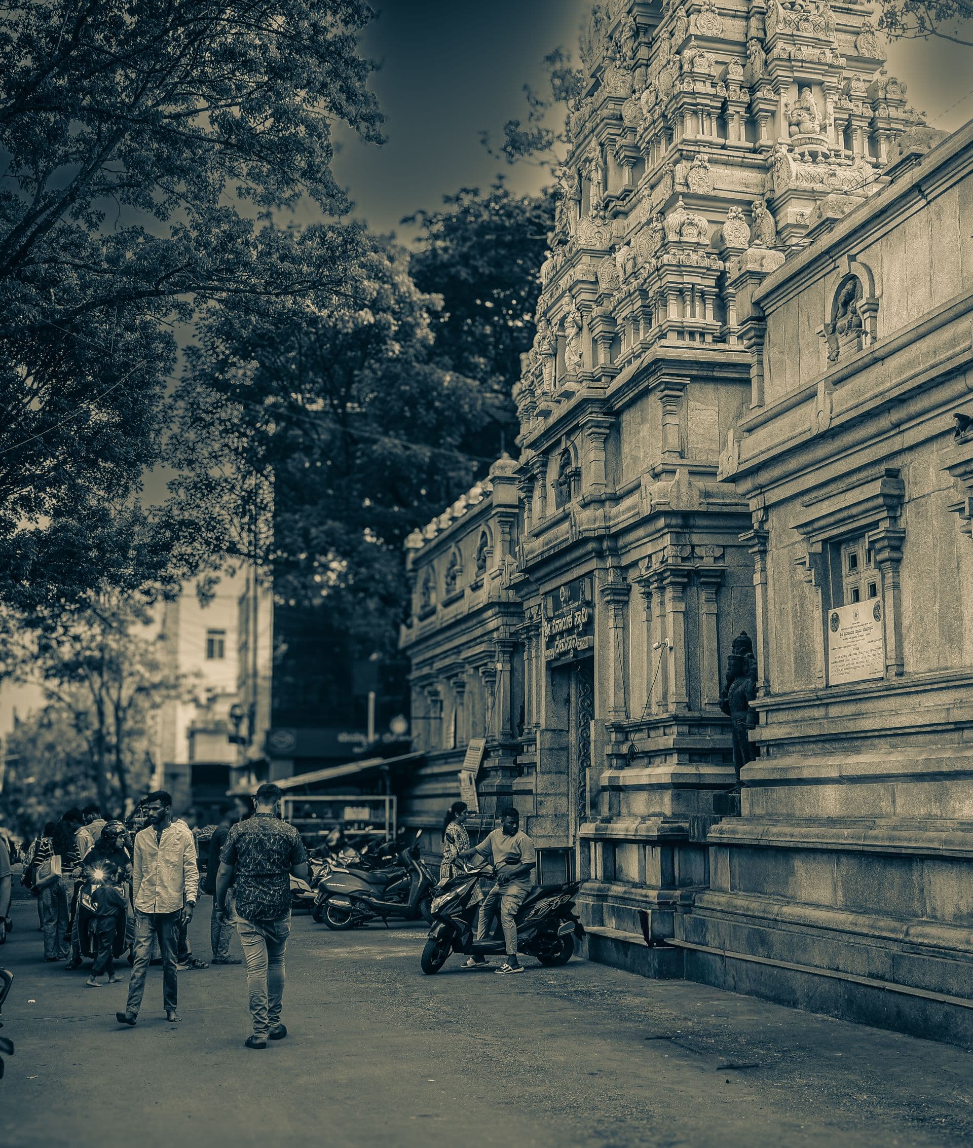 Portfolio by Clicks 84