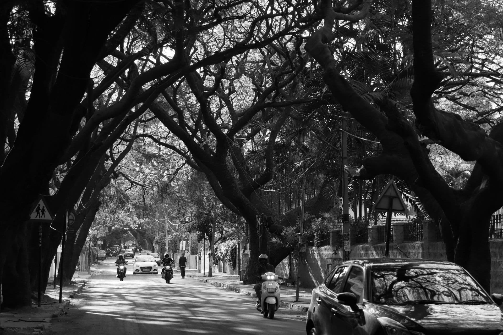 Portfolio by Clicks 84