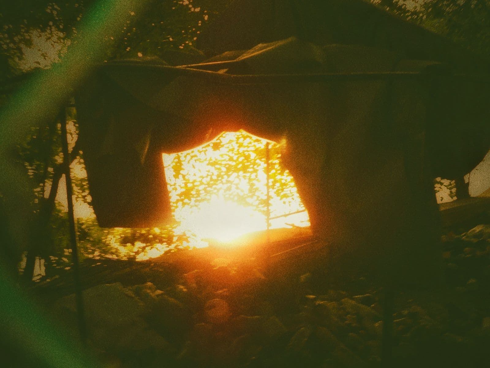 #golden-hour #quality