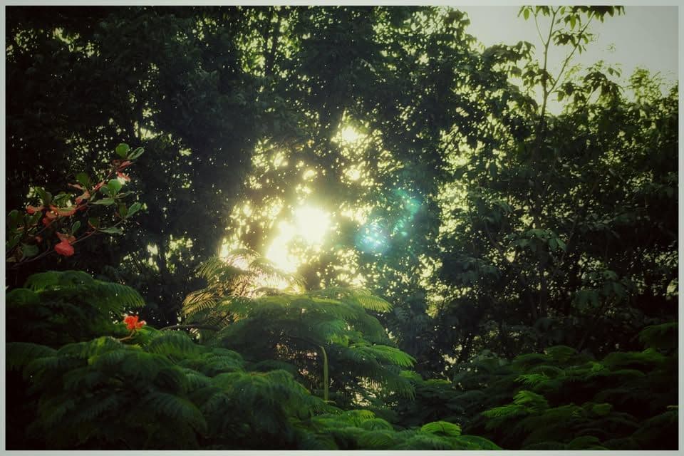 #best #golden-hour