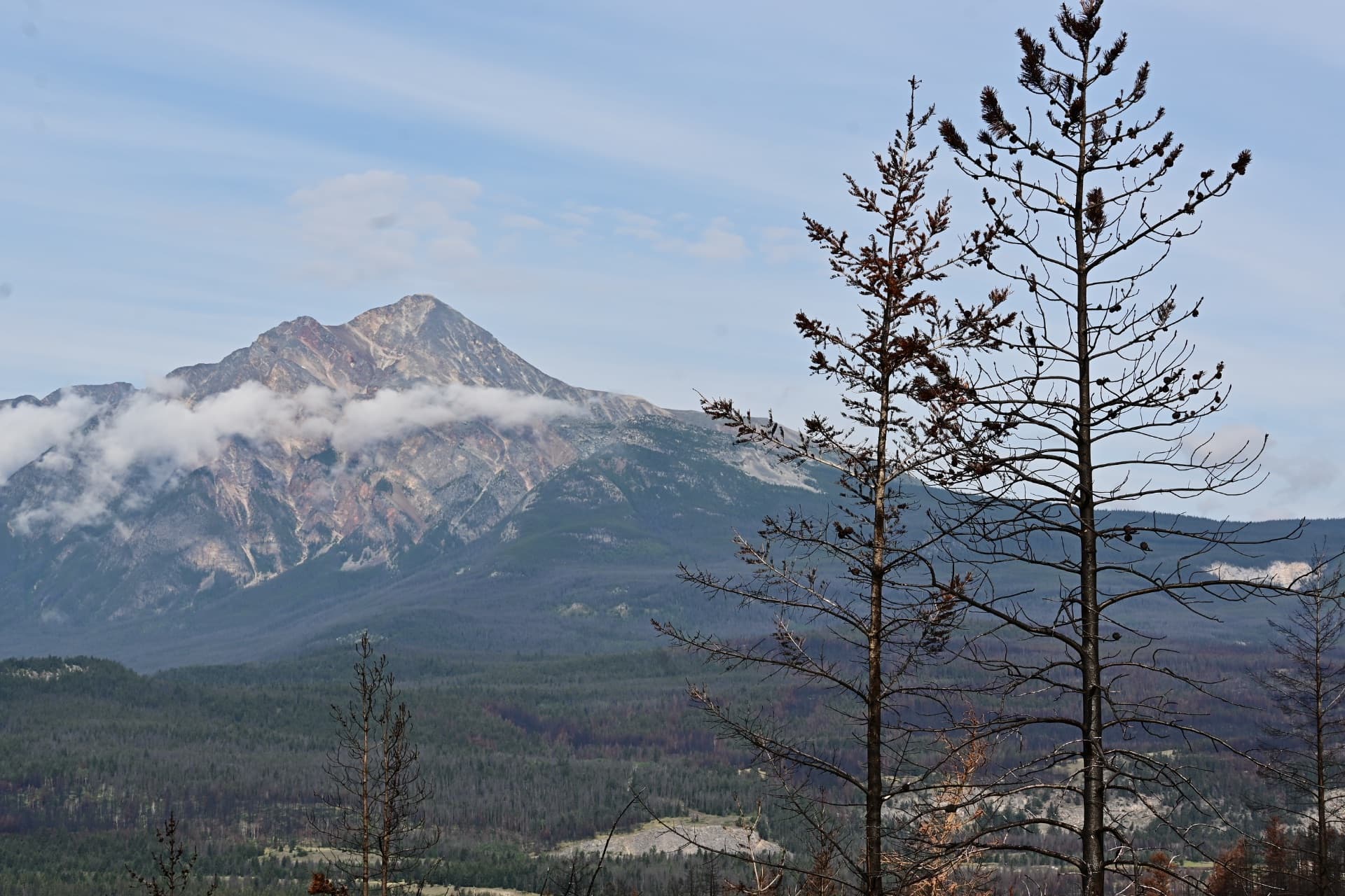 Portfolio by preethika c