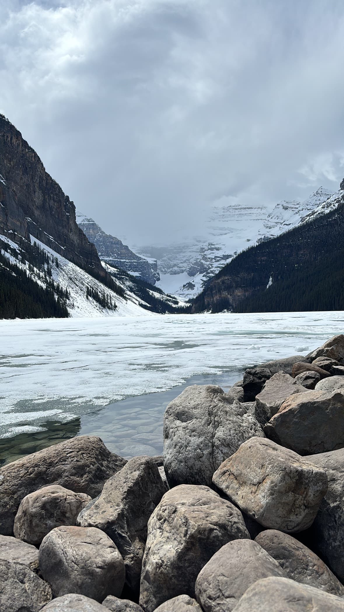 Portfolio by preethika c