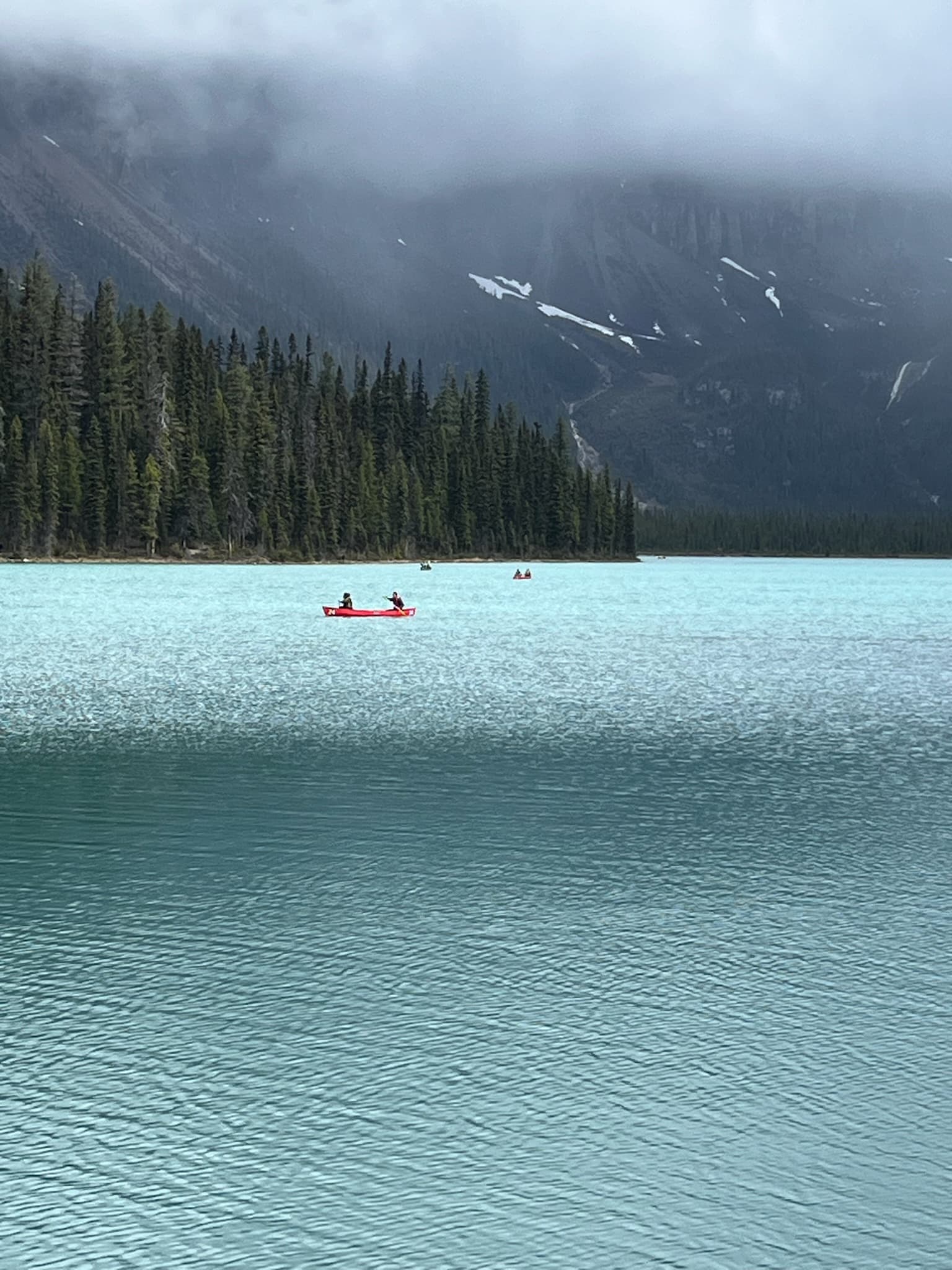 Portfolio by preethika c