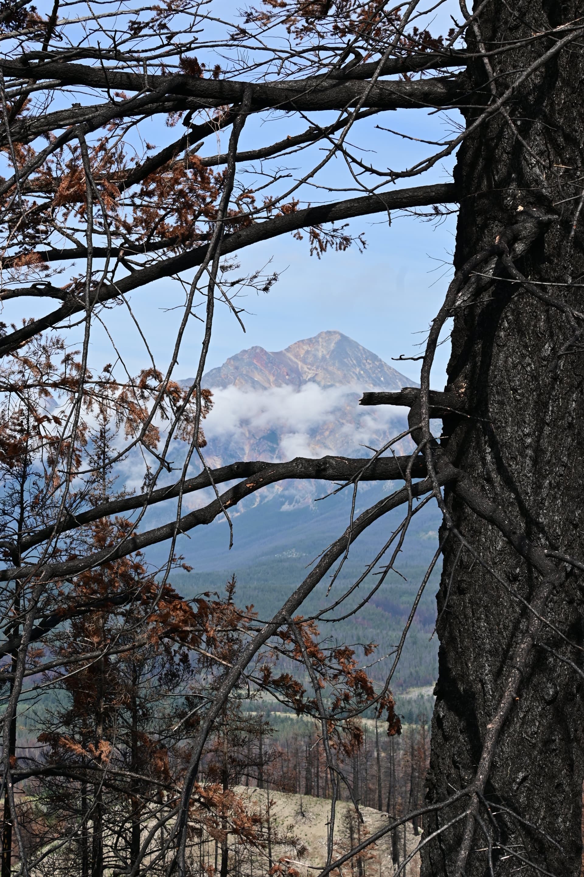 Portfolio by preethika c